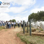 Gira Técnica Ganadera Lechera Colombia 2026 Gira Técnica Ganadera Lechera Colombia 2026