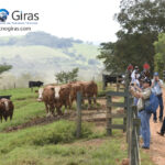 Gira Técnica Ganadera Lechera Colombia 2026 Gira Técnica Ganadera Lechera Colombia 2026