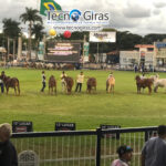 GIRA TECNICA GANADERA MADISON 2026 GIRA TECNICA GANADERA MADISON 2026