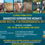 Curso de Reproducción Colombia 2023 Curso Practico Diagnostico