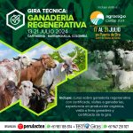 Gira Técnica: Ganadería Regenerativa Colombia 2024 gira_ganaderia_regenerativa