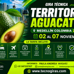 AFICHE
